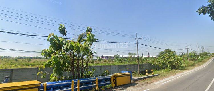Dd13 Murah Tanah Industri di Jalan Raya Mantup, Lamongan 1