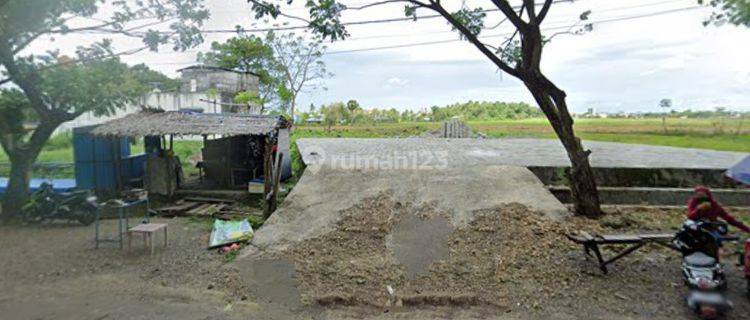 1560. Tanah Samping Gor Macanang, Tanete, Bone Sulawesi Selatan  1