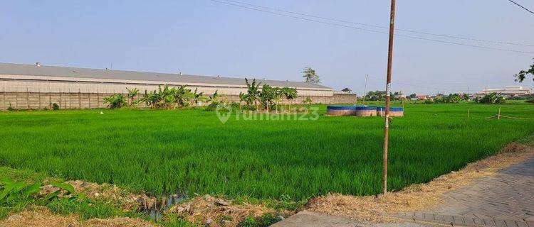  B O Dijual Cepat Tanah Industri Karangbong Sidoarjo 1
