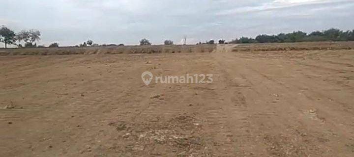 Dd13 Murah Tanah Industri di Jalan Raya Mantup, Lamongan 1