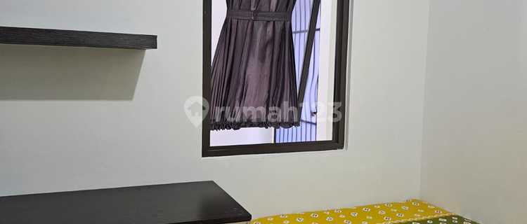 Investment in BSD Boarding House Yields 10 Million Per Month 1