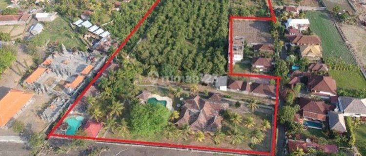 Jual Cepat Tanah Beach Front Bonus 2 Villa Di Lovina Singaraja 1