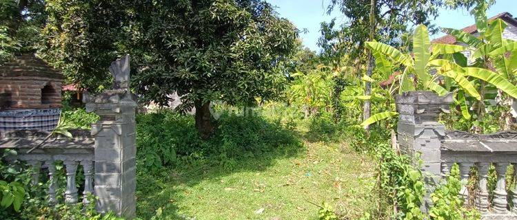 Jual Cepat Tanah Lokasi Strategis Hanya 30 Meter Dari Jalan Utama Gerokgak Singaraja 1