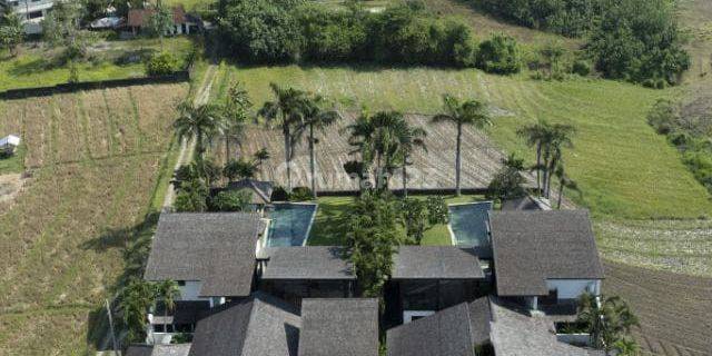 Your New Home, Luxury Villas, Ricefield, Ocean, Sunset View, Beraban, Tabanan 1