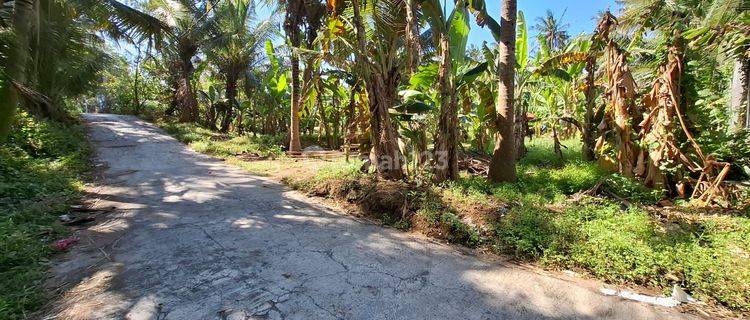 Strategic Location Land Only 100 Meters To Saba Beach 1