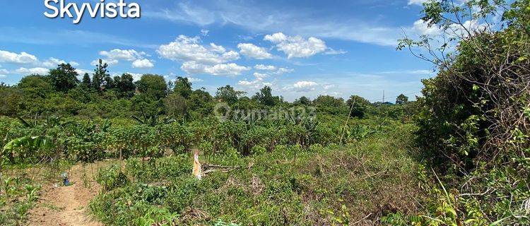 Tanah Strategis Untuk Perumahan di Area Serang 1