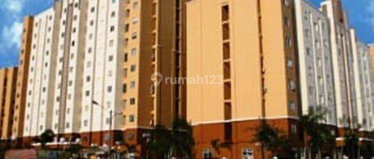 Apartemen Palm Mansion 2 BR 0110 Aho 1