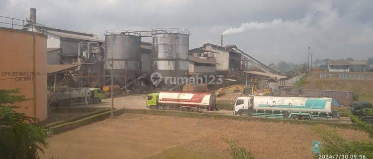 Pabrik Kelapa Sawit 60 TPH di Jambi – Legalitas Lengkap & Siap Operasi! 1