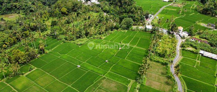 tanah luas siap bangun cck untuk resort hotel di area ubud 1