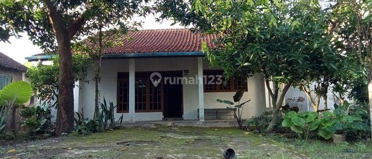 MARGASARI TEGAL JATENG Rumah Dijual Murah Tanah Luas Lokasi Strategis 1