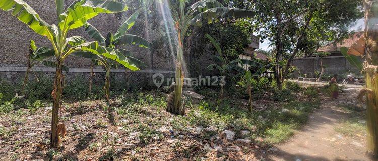 Tanah Dekat Pantai di Montong Lombok Barat  1