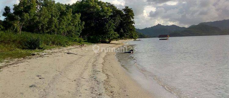 Tanah Premium Pinggir Pantai Pasir Putih di Sekotong 1