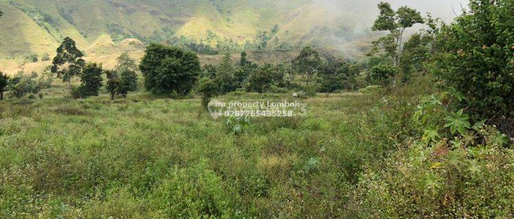 Tanah Kebun di Sembalun Lombok Timur  1