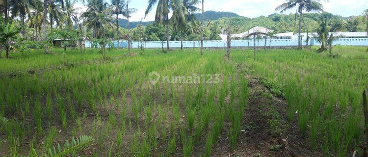 Tanah di Kuta Mandalika Lombok  1