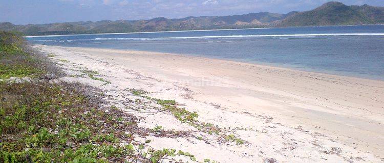 Tanah Pinggir Pantai Serangan Dekat Selong Belanak  1