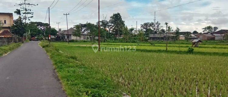 Tanah di Terare Lombok Timur Cocok Untuk Gudang 1
