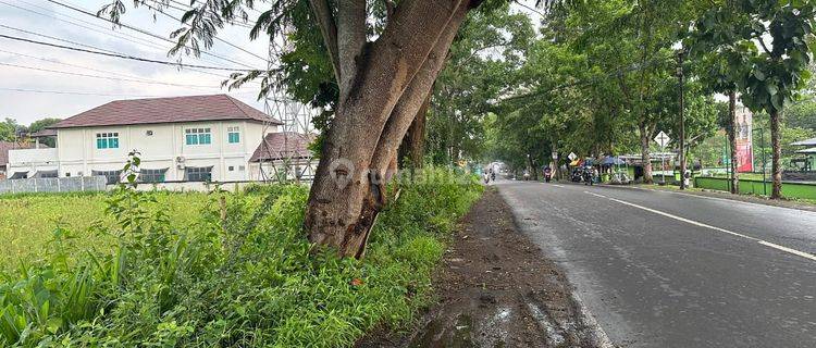 Tanah Pinggir Jalan Raya Sakra Lombok Timur 1