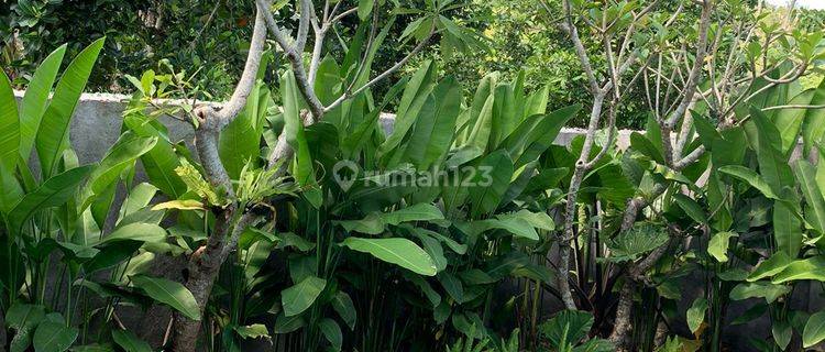 Villa di Medas Gunung Sari Lombok Barat 1