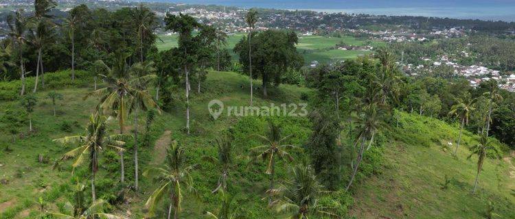 Tanah Diatas Bukit Bengkaung di Senteluk Batu Layar 