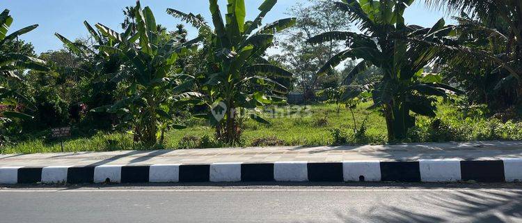 Tanah Pinggir Jalan Raya Meninting  1