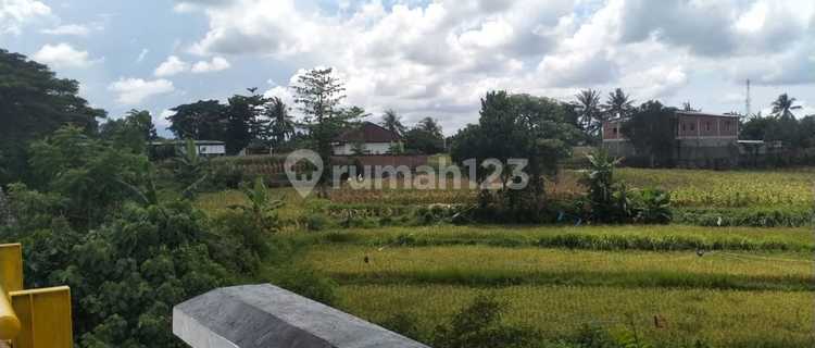 Tanah pinggir jalan Raya Kuripan Lombok Barat 1