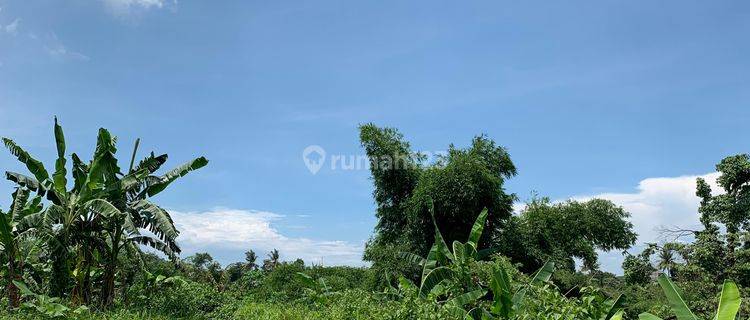 Tanah di Labulia Dekat Bypass Bandara Lombok 1