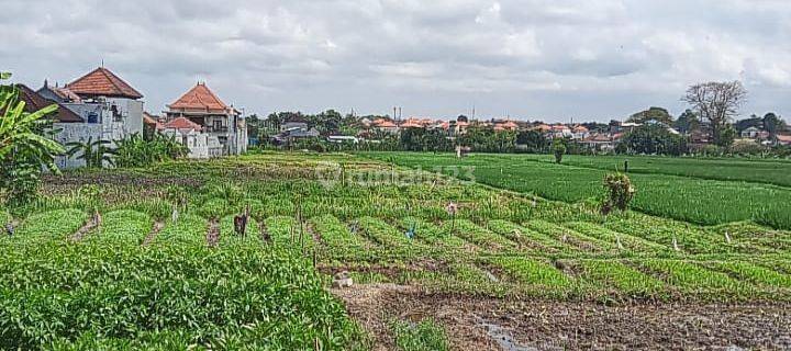 Tanah di Denpasar Utara Cocok Untuk Kapling 1