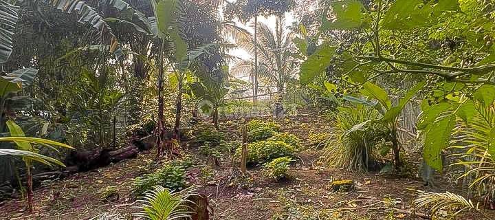 Tanah Kapling Melase Dekat Kantor Camat Batu Layar Senggigi Lombok Barat  1