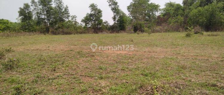 Tanah Harga Murah Di Munjul Cileles Tigaraksa Tangerang 1