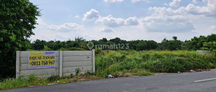 Dijual Tanah Lokasi Strategis Dekat Jalan Hangtuah 1