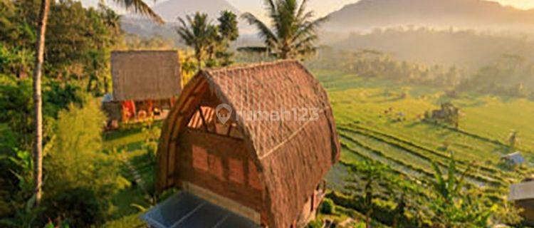 Private Villa Furnished dengan View Padi Dan Gunung Agung 1