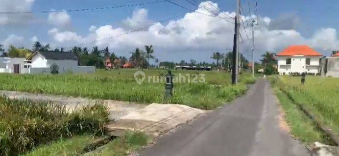 Land for sale with rice field views close to Central Ubud 1