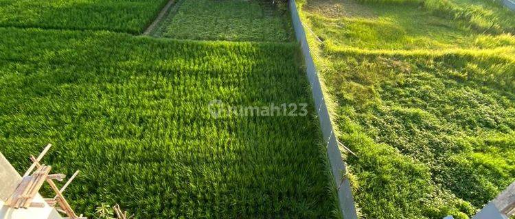 For Sale Brand New Villa With Rice Field View Tabanan 1