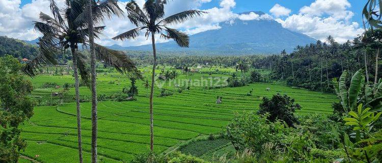 Land For Sale With Good View At Karangasem 1