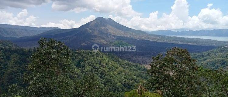 Dijual Tanah View Gunung Danau Batur Kintamani 1