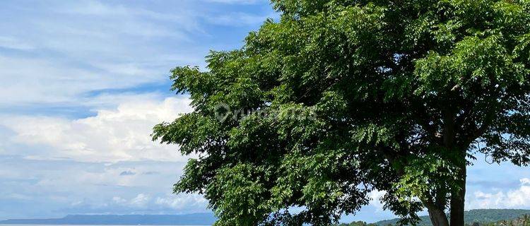 Beachfront Land For Sale At Karangasem Bali 1