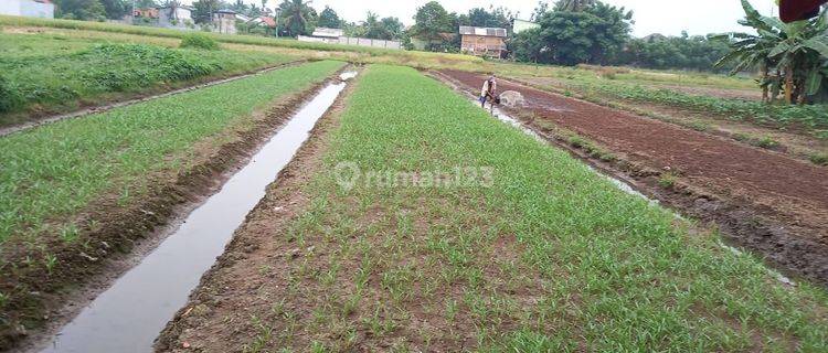 Tanah Pinggir jalan Gempol Sari Sepatan Timur Tangerang 1