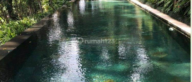 Villa Tropis View Lembah Dan Sawah Dekat Alila Payangan 1