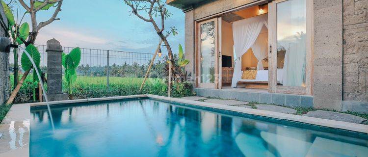 Villa Tropis Modern View Sawah di Kemenuh  1