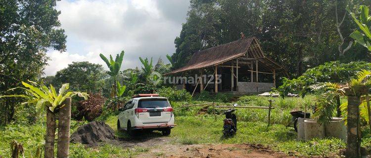 Tanah Perkebunan Di Jatiluwih Penebel 1