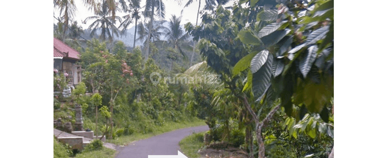 Quick sale of garden land in Pohsanten Mendoyo Jembrana 1