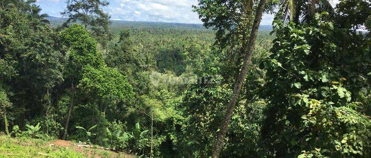 Tanah Kebun di  Selemadeg Tabanan 1