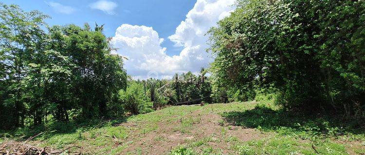 Land Near the Beach in Permata Pering - Saba 1