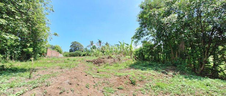 Land Near the Beach in Permata Pering - Saba 1