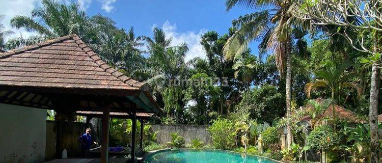 Villa / Tourist Lodge in Payangan Near Ubud  1