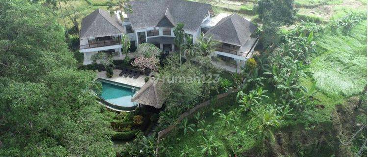 Villa Tropis  View Sawah Di Lodtunduh  Ubud