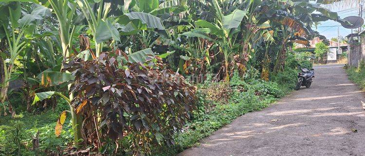 Tanah Kavling Di Jln Srikandi Sambangan- Sukasada 1