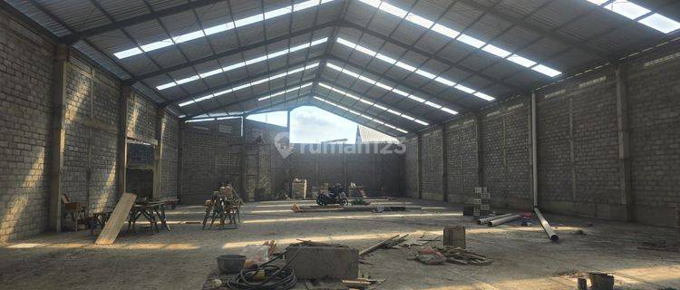 New Warehouse at Cargo Sari  1