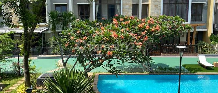 Langka Cuma 1 Termurah 9X18 Primavera 3 Lt Private Townhouse H 1