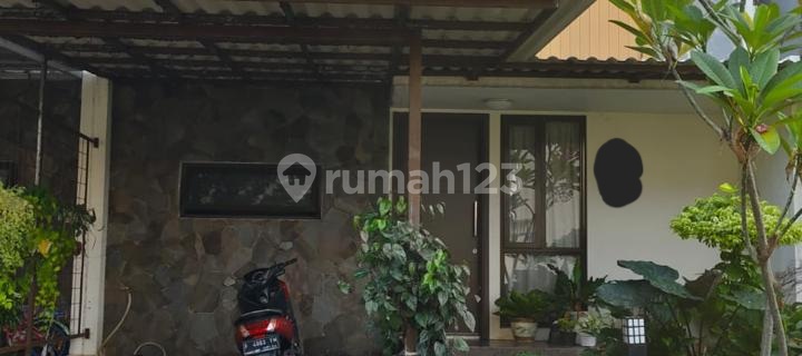 Best Price Width 7X10 Clust Kireina Park Dexit Tol Pasmod G 1